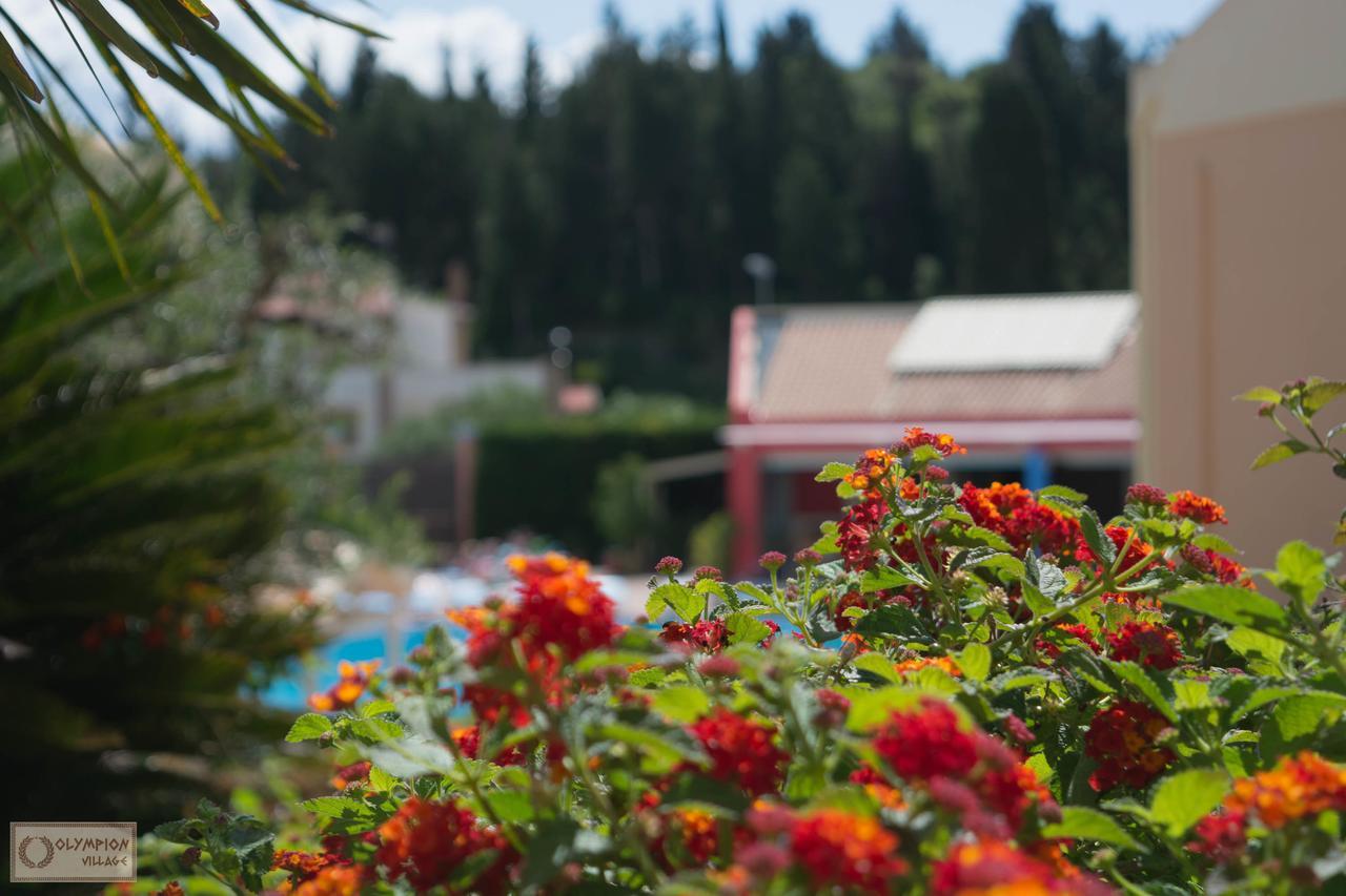 Hotel Olympion Village